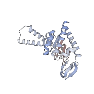 7341_6c4i_b_v1-1
Conformation of methylated GGQ in the peptidyl transferase center during translation termination