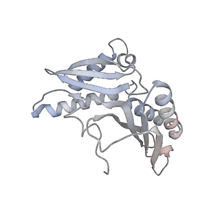 7341_6c4i_c_v1-1
Conformation of methylated GGQ in the peptidyl transferase center during translation termination