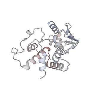 7341_6c4i_d_v1-1
Conformation of methylated GGQ in the peptidyl transferase center during translation termination