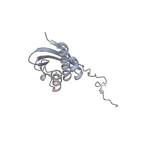 7341_6c4i_i_v1-1
Conformation of methylated GGQ in the peptidyl transferase center during translation termination