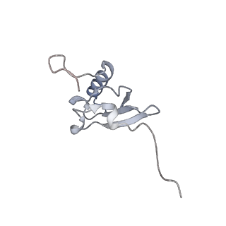 7341_6c4i_s_v1-1
Conformation of methylated GGQ in the peptidyl transferase center during translation termination