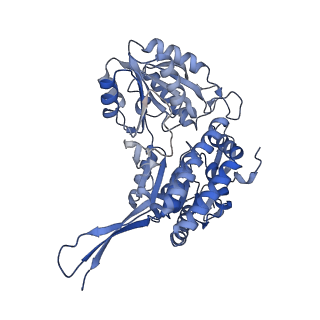16433_8c54_A_v1-0
Cryo-EM structure of NADH bound SLA dehydrogenase RlGabD from Rhizobium leguminosarum bv. trifolii SRD1565