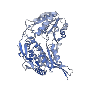 16433_8c54_B_v1-0
Cryo-EM structure of NADH bound SLA dehydrogenase RlGabD from Rhizobium leguminosarum bv. trifolii SRD1565