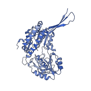 16433_8c54_C_v1-0
Cryo-EM structure of NADH bound SLA dehydrogenase RlGabD from Rhizobium leguminosarum bv. trifolii SRD1565