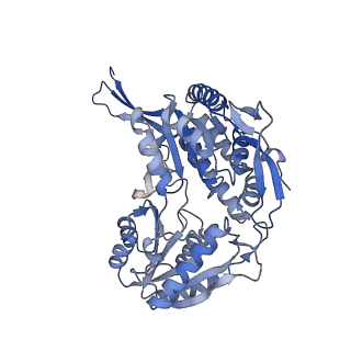 16433_8c54_D_v1-0
Cryo-EM structure of NADH bound SLA dehydrogenase RlGabD from Rhizobium leguminosarum bv. trifolii SRD1565