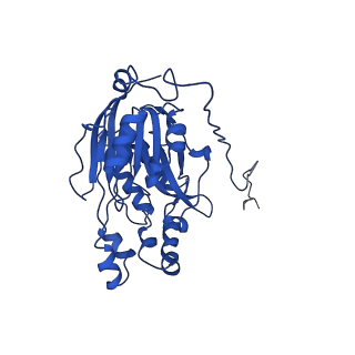 16437_8c5i_A_v1-0
Cyanide dihydratase from Bacillus pumilus C1 variant - Q86R,H305K,H308K,H323K