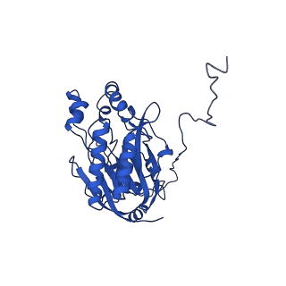 16437_8c5i_B_v1-0
Cyanide dihydratase from Bacillus pumilus C1 variant - Q86R,H305K,H308K,H323K