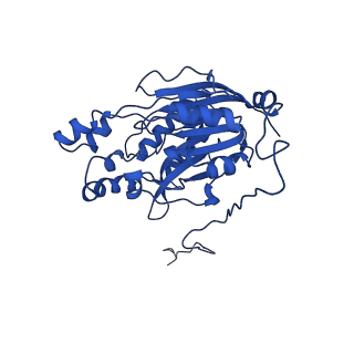 16437_8c5i_C_v1-0
Cyanide dihydratase from Bacillus pumilus C1 variant - Q86R,H305K,H308K,H323K
