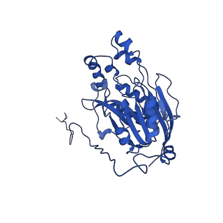 16437_8c5i_E_v1-0
Cyanide dihydratase from Bacillus pumilus C1 variant - Q86R,H305K,H308K,H323K