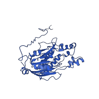 16437_8c5i_F_v1-0
Cyanide dihydratase from Bacillus pumilus C1 variant - Q86R,H305K,H308K,H323K