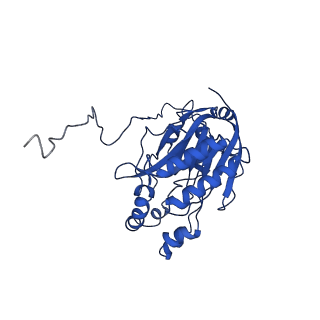 16437_8c5i_H_v1-0
Cyanide dihydratase from Bacillus pumilus C1 variant - Q86R,H305K,H308K,H323K