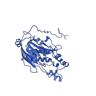 16437_8c5i_I_v1-0
Cyanide dihydratase from Bacillus pumilus C1 variant - Q86R,H305K,H308K,H323K
