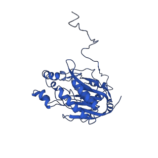 16437_8c5i_J_v1-0
Cyanide dihydratase from Bacillus pumilus C1 variant - Q86R,H305K,H308K,H323K