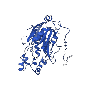 16437_8c5i_K_v1-0
Cyanide dihydratase from Bacillus pumilus C1 variant - Q86R,H305K,H308K,H323K