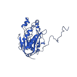 16437_8c5i_M_v1-0
Cyanide dihydratase from Bacillus pumilus C1 variant - Q86R,H305K,H308K,H323K