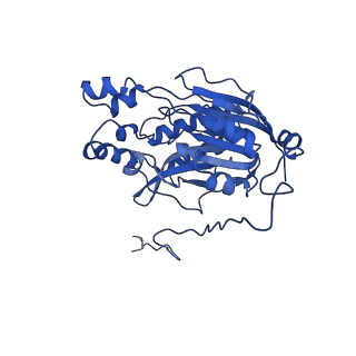 16437_8c5i_N_v1-0
Cyanide dihydratase from Bacillus pumilus C1 variant - Q86R,H305K,H308K,H323K