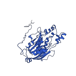 16437_8c5i_O_v1-0
Cyanide dihydratase from Bacillus pumilus C1 variant - Q86R,H305K,H308K,H323K