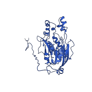 16437_8c5i_P_v1-0
Cyanide dihydratase from Bacillus pumilus C1 variant - Q86R,H305K,H308K,H323K