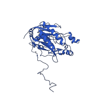 16437_8c5i_Q_v1-0
Cyanide dihydratase from Bacillus pumilus C1 variant - Q86R,H305K,H308K,H323K