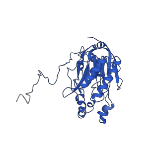 16437_8c5i_R_v1-0
Cyanide dihydratase from Bacillus pumilus C1 variant - Q86R,H305K,H308K,H323K