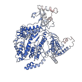 16442_8c5s_A_v1-3
Cryo-EM structure of yeast mitochondrial RNA polymerase transcription initiation complex with 7-mer RNA, pppGpGpUpApApApU (IC7)