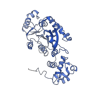 16442_8c5s_B_v1-3
Cryo-EM structure of yeast mitochondrial RNA polymerase transcription initiation complex with 7-mer RNA, pppGpGpUpApApApU (IC7)
