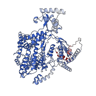 16443_8c5u_A_v1-3
Cryo-EM structure of yeast mitochondrial RNA polymerase transcription initiation complex with 8-mer RNA, pppGpGpUpApApApUpG (IC8)