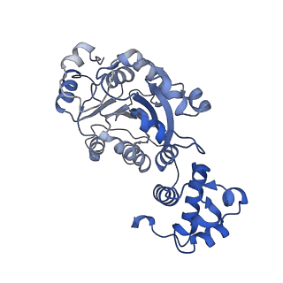 16443_8c5u_B_v1-3
Cryo-EM structure of yeast mitochondrial RNA polymerase transcription initiation complex with 8-mer RNA, pppGpGpUpApApApUpG (IC8)