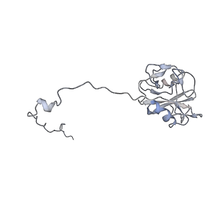 7344_6c5v_C_v1-0
An anti-gH/gL antibody that neutralizes dual-tropic infection defines a site of vulnerability on Epstein-Barr virus