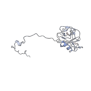 7344_6c5v_C_v2-0
An anti-gH/gL antibody that neutralizes dual-tropic infection defines a site of vulnerability on Epstein-Barr virus