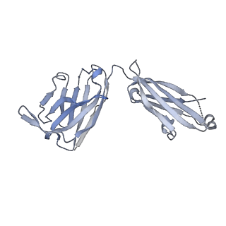7344_6c5v_H_v2-0
An anti-gH/gL antibody that neutralizes dual-tropic infection defines a site of vulnerability on Epstein-Barr virus