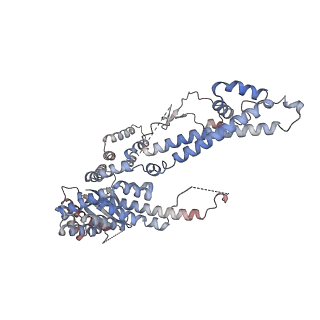 16449_8c60_A_v1-1
Cryo-EM structure of the human SIN3B full-length complex at 3.4 Angstrom resolution