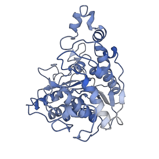 16449_8c60_B_v1-1
Cryo-EM structure of the human SIN3B full-length complex at 3.4 Angstrom resolution