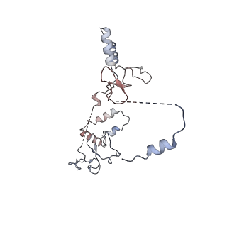 16449_8c60_C_v1-1
Cryo-EM structure of the human SIN3B full-length complex at 3.4 Angstrom resolution