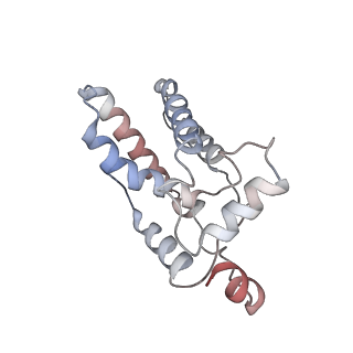 16449_8c60_D_v1-1
Cryo-EM structure of the human SIN3B full-length complex at 3.4 Angstrom resolution