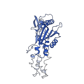 7347_6c66_B_v1-4
CRISPR RNA-guided surveillance complex, pre-nicking