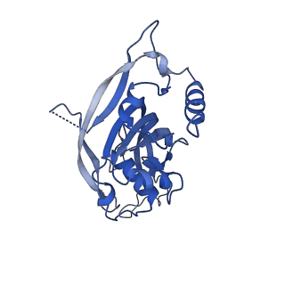 7347_6c66_M_v1-4
CRISPR RNA-guided surveillance complex, pre-nicking