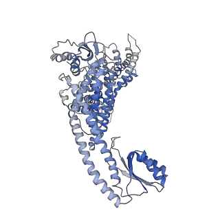 7348_6c6l_A_v1-5
Yeast Vacuolar ATPase Vo in lipid nanodisc