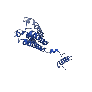 7348_6c6l_C_v1-4
Yeast Vacuolar ATPase Vo in lipid nanodisc