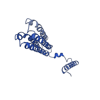 7348_6c6l_C_v1-5
Yeast Vacuolar ATPase Vo in lipid nanodisc