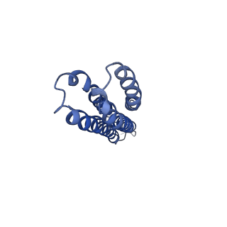 7348_6c6l_D_v1-4
Yeast Vacuolar ATPase Vo in lipid nanodisc