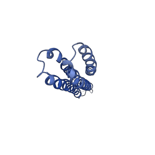 7348_6c6l_D_v1-5
Yeast Vacuolar ATPase Vo in lipid nanodisc