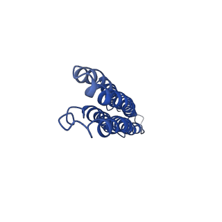 7348_6c6l_L_v1-4
Yeast Vacuolar ATPase Vo in lipid nanodisc