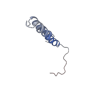 7348_6c6l_M_v1-4
Yeast Vacuolar ATPase Vo in lipid nanodisc