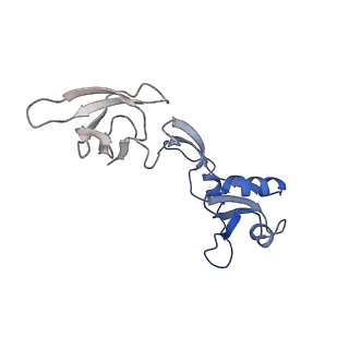 7349_6c6s_D_v1-5
CryoEM structure of E.coli RNA polymerase elongation complex bound with RfaH