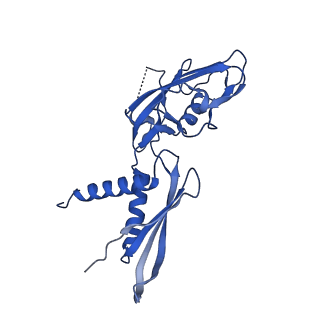 7349_6c6s_G_v1-4
CryoEM structure of E.coli RNA polymerase elongation complex bound with RfaH