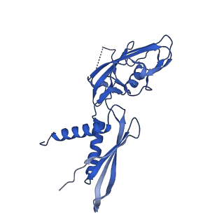 7349_6c6s_G_v1-5
CryoEM structure of E.coli RNA polymerase elongation complex bound with RfaH