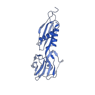 7349_6c6s_H_v1-4
CryoEM structure of E.coli RNA polymerase elongation complex bound with RfaH