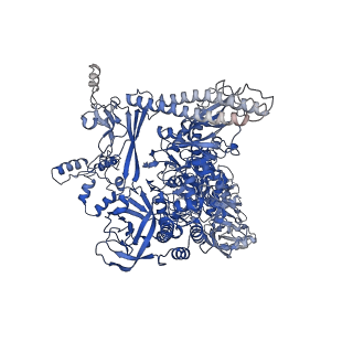 7349_6c6s_I_v1-4
CryoEM structure of E.coli RNA polymerase elongation complex bound with RfaH