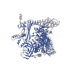 7349_6c6s_I_v1-5
CryoEM structure of E.coli RNA polymerase elongation complex bound with RfaH